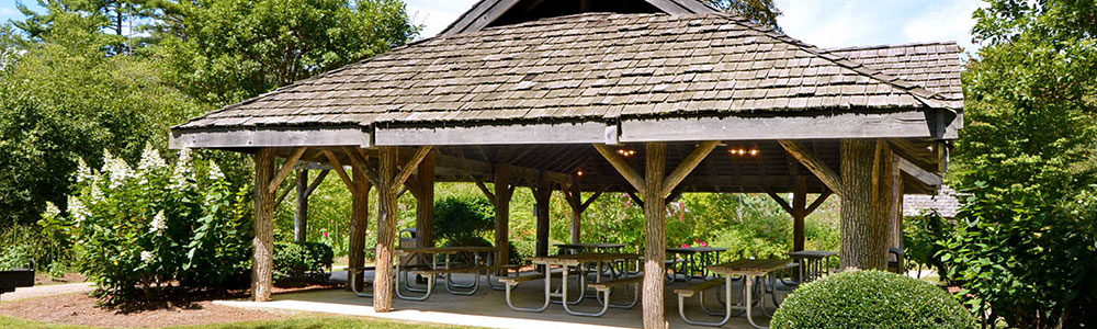 Pavilion and Picnic Areas